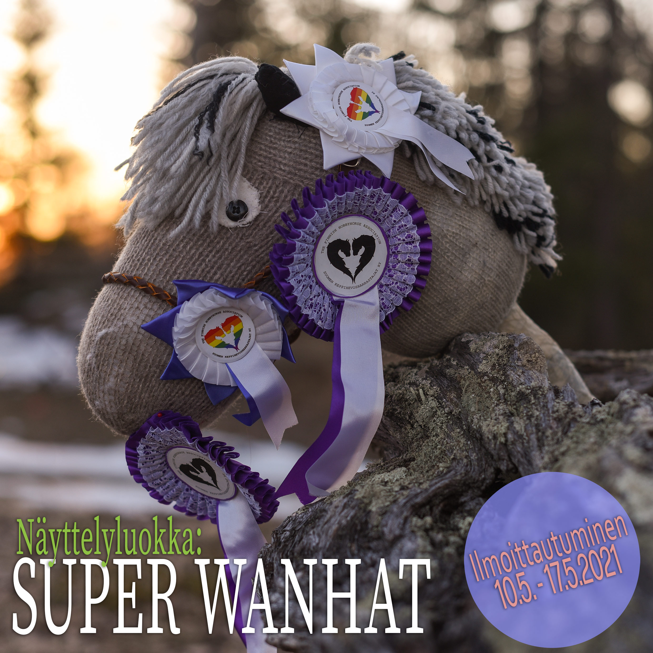 Superpäivän Super Wanhat - Suomen Keppihevosharrastajat ry